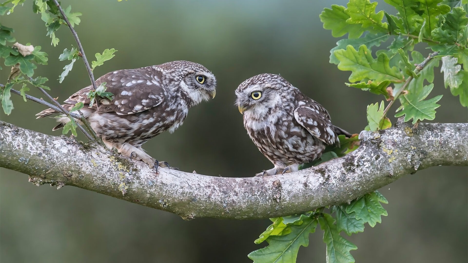 “青春逐梦”青少年篮球明星选拔赛在北京盛大举行,发掘潜力新星