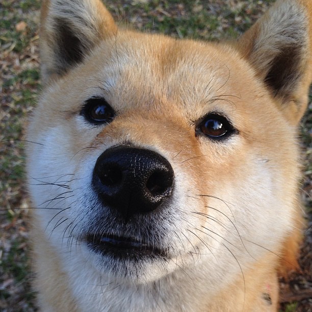 《【幕后揭秘】职业选手的日常训练如何科学提升?》,职业选手是怎样训练的