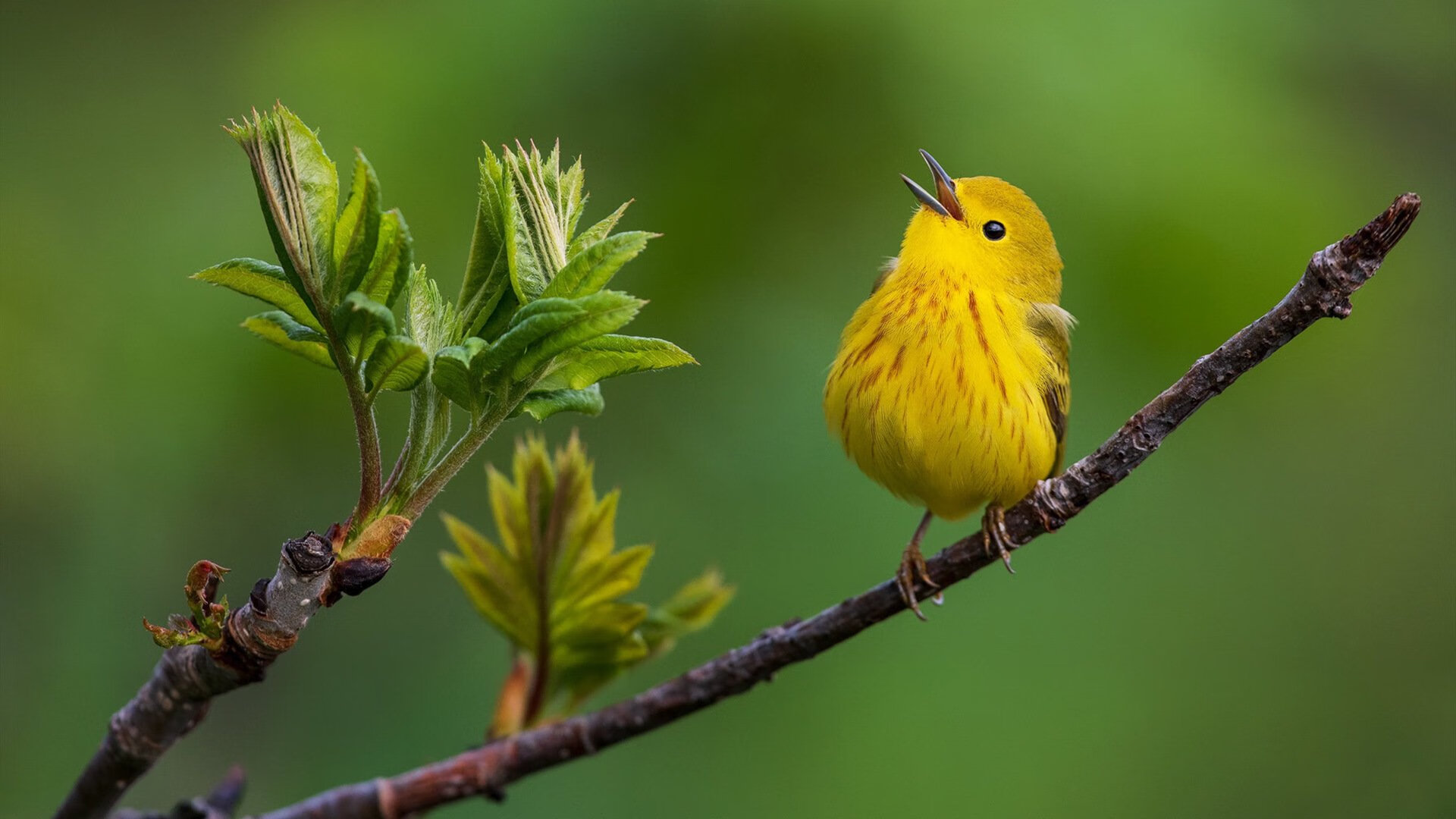 《电竞装备行业高速发展,专业设备普及程度大幅提升》,电竞设备品牌排行榜前十名