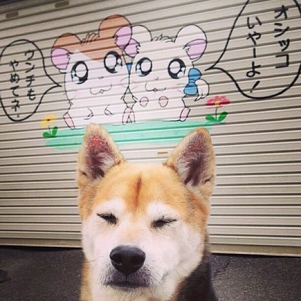 开云体育视频直播-哥伦比亚队在巴黎奥运会比赛中多次通过团队配合得分，哥伦比亚奥运会赛程